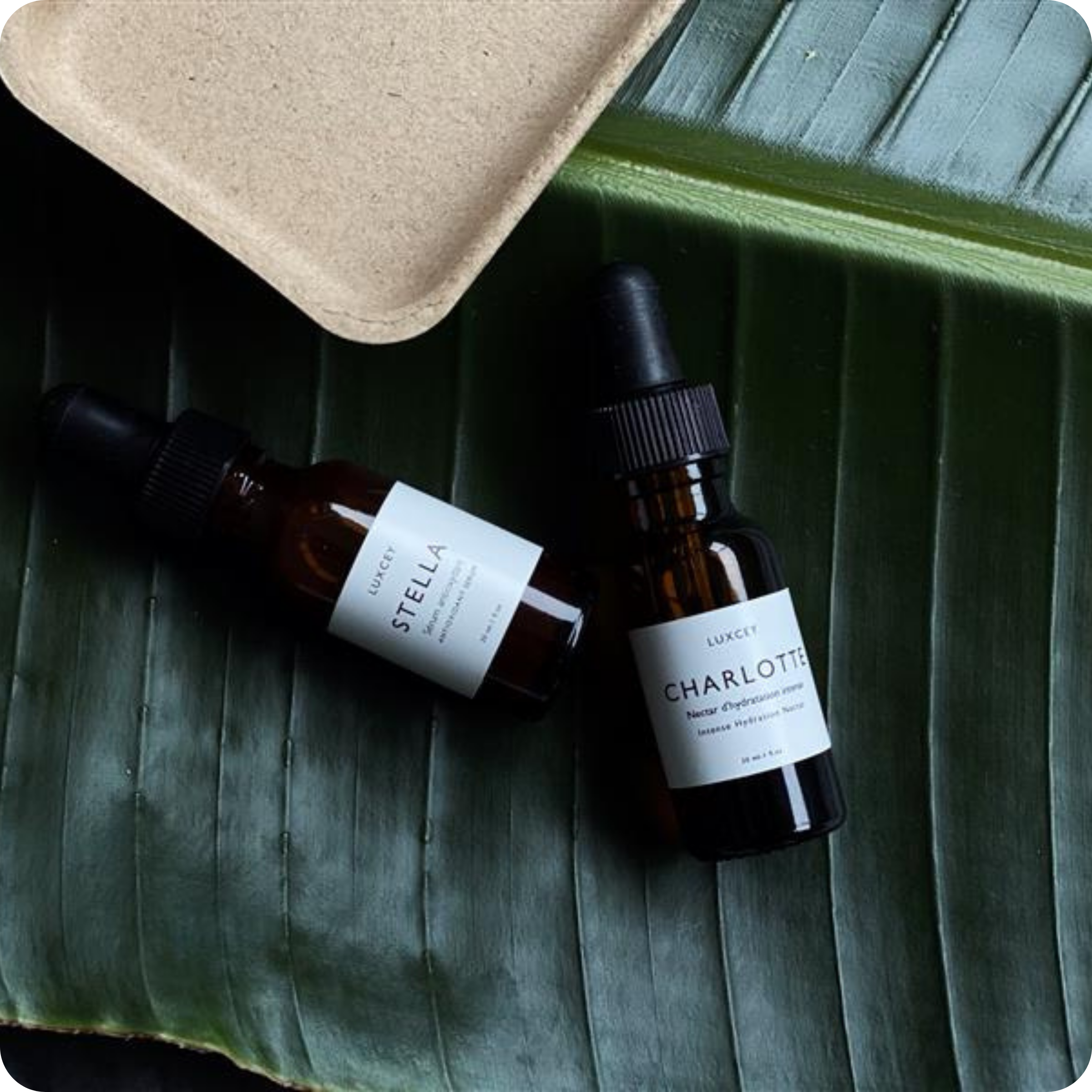 DUO D’AMOUR - Charlotte 0.5 fl.oz & Stella 0.5 fl.oz