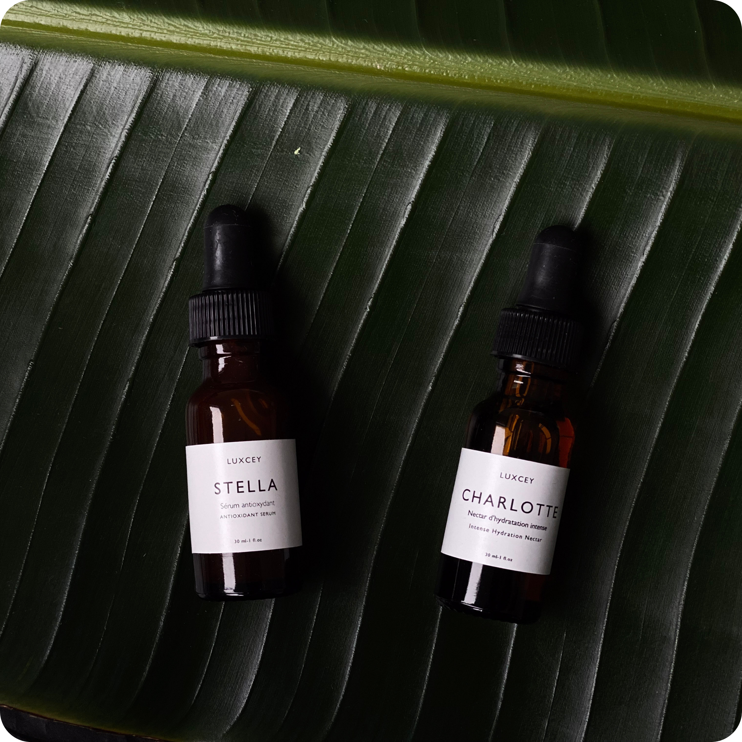 DUO D’AMOUR - Charlotte 0.5 fl.oz & Stella 0.5 fl.oz