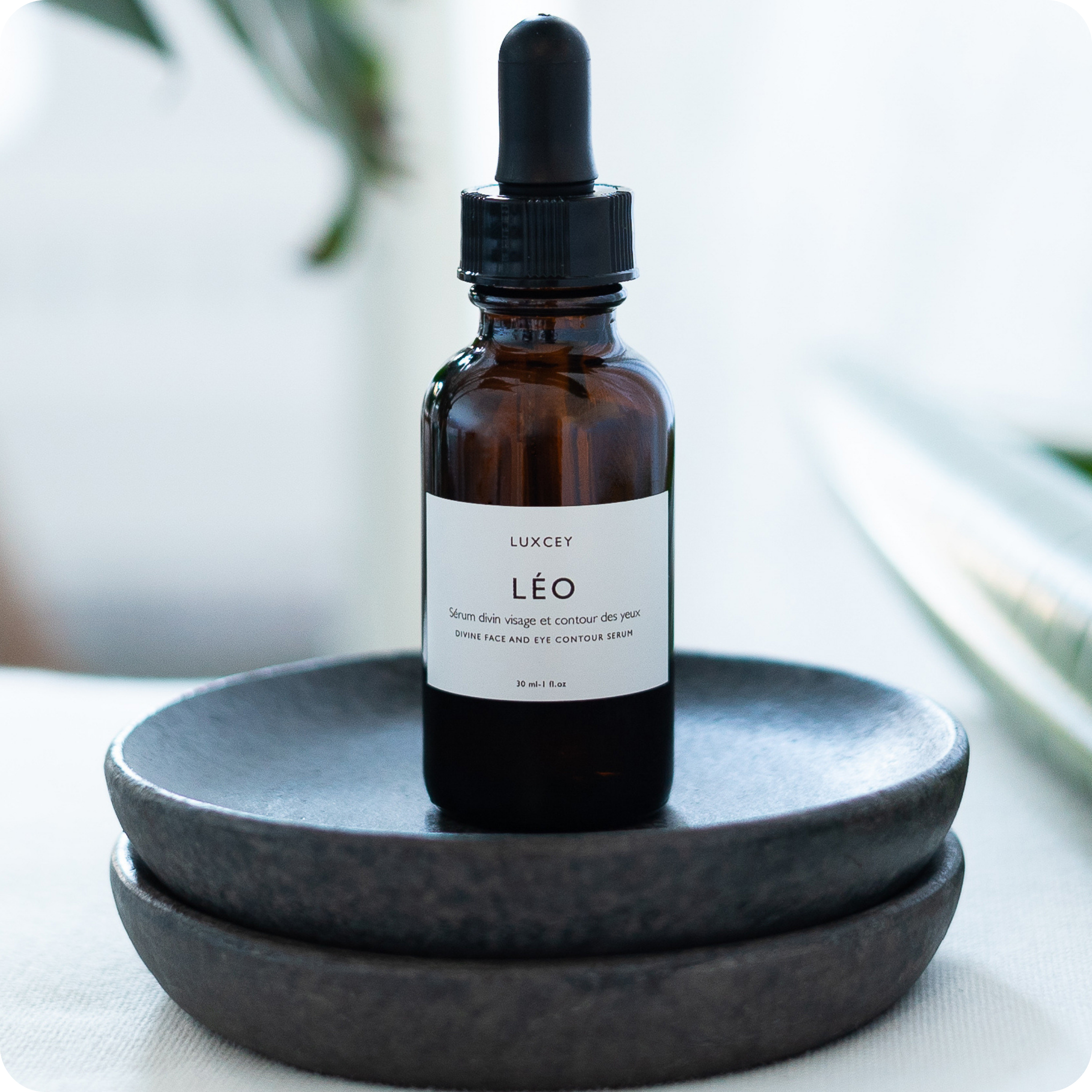 Léo - Illuminating oleo-serum