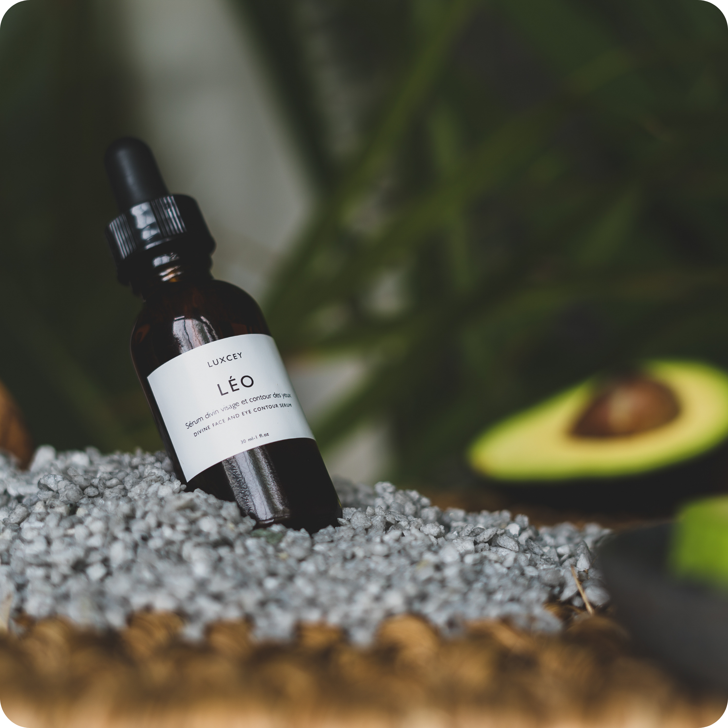 Léo - Illuminating oleo-serum