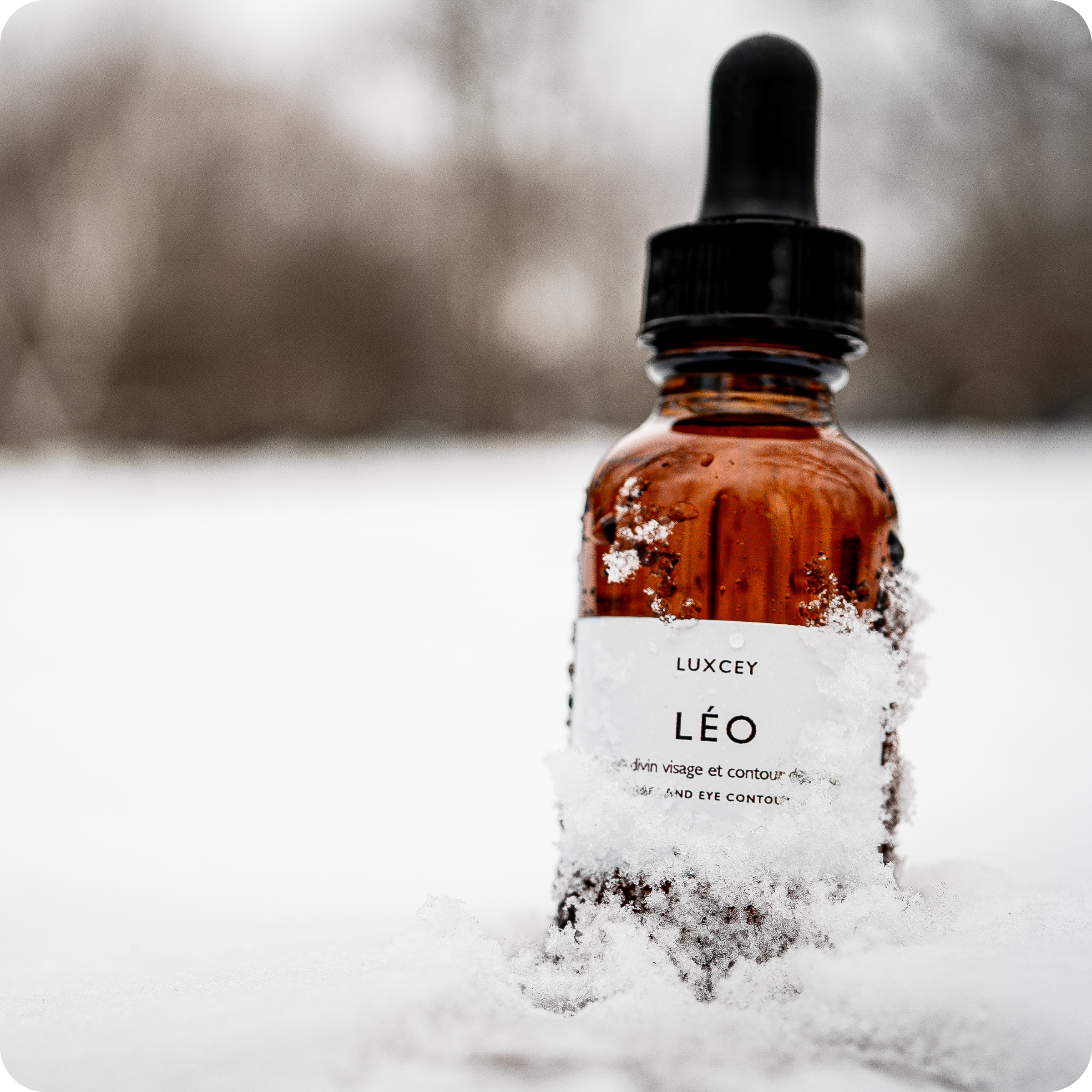 Léo - Illuminating oleo-serum
