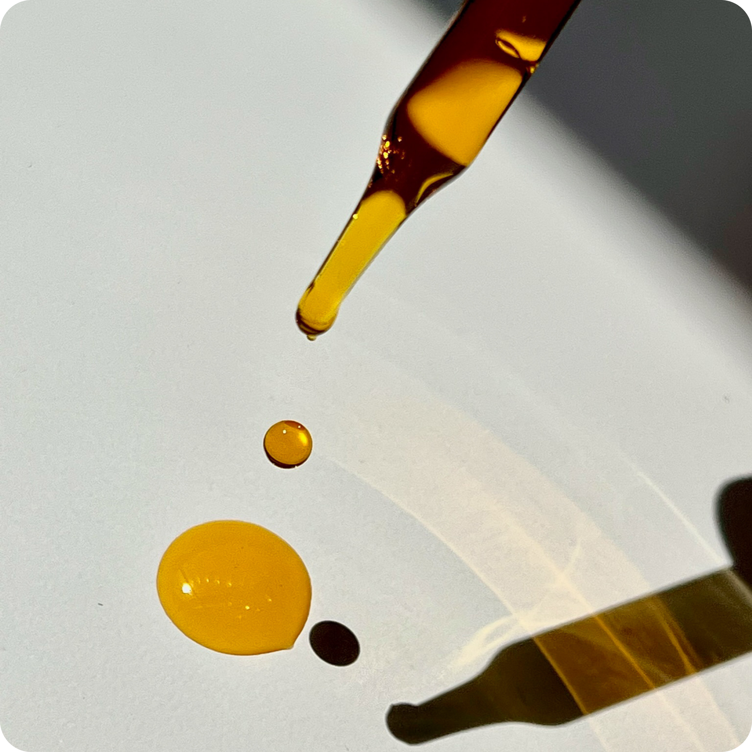 Léo - Illuminating oleo-serum