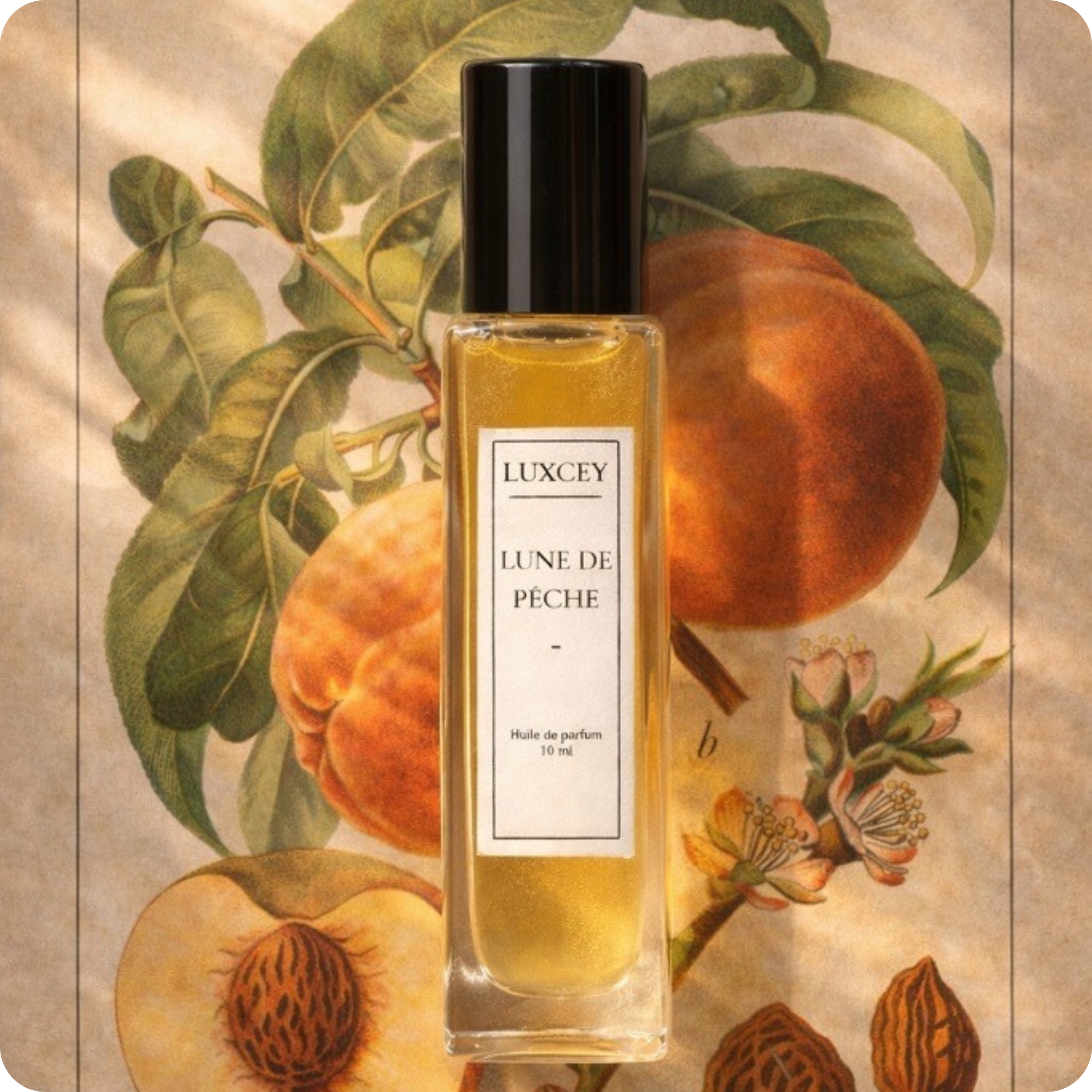 Lune de Pêche - Perfume Oil