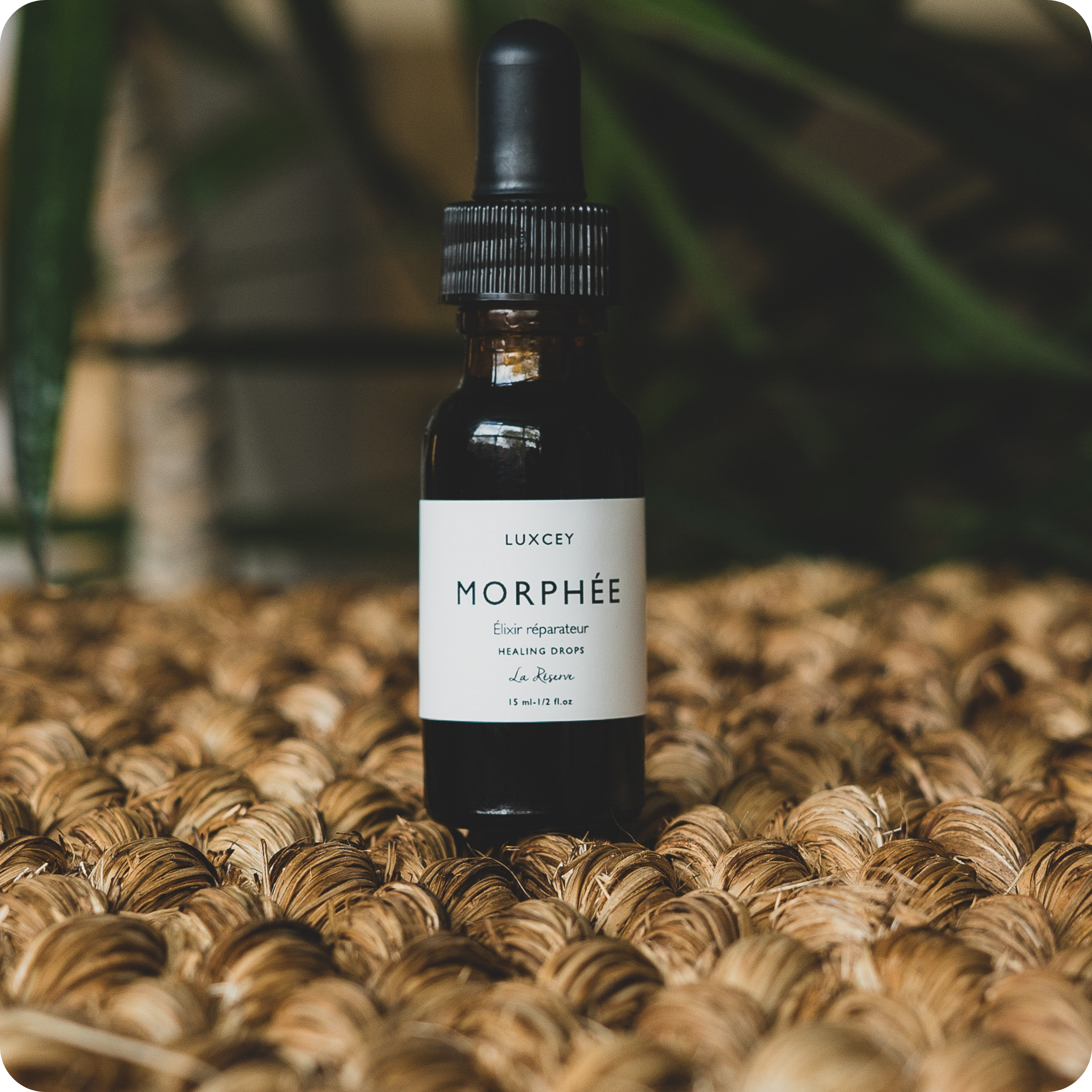 Morphée - Calming oleo-serum