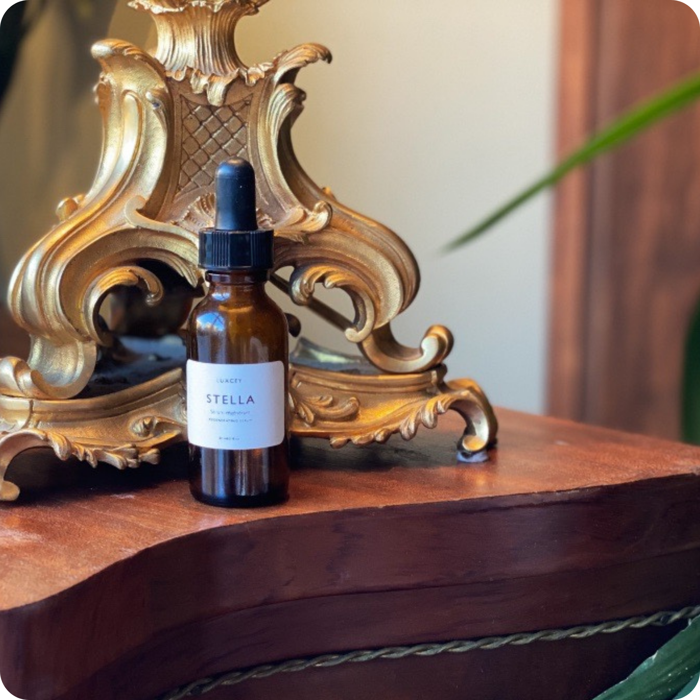 Stella - Antioxidant serum