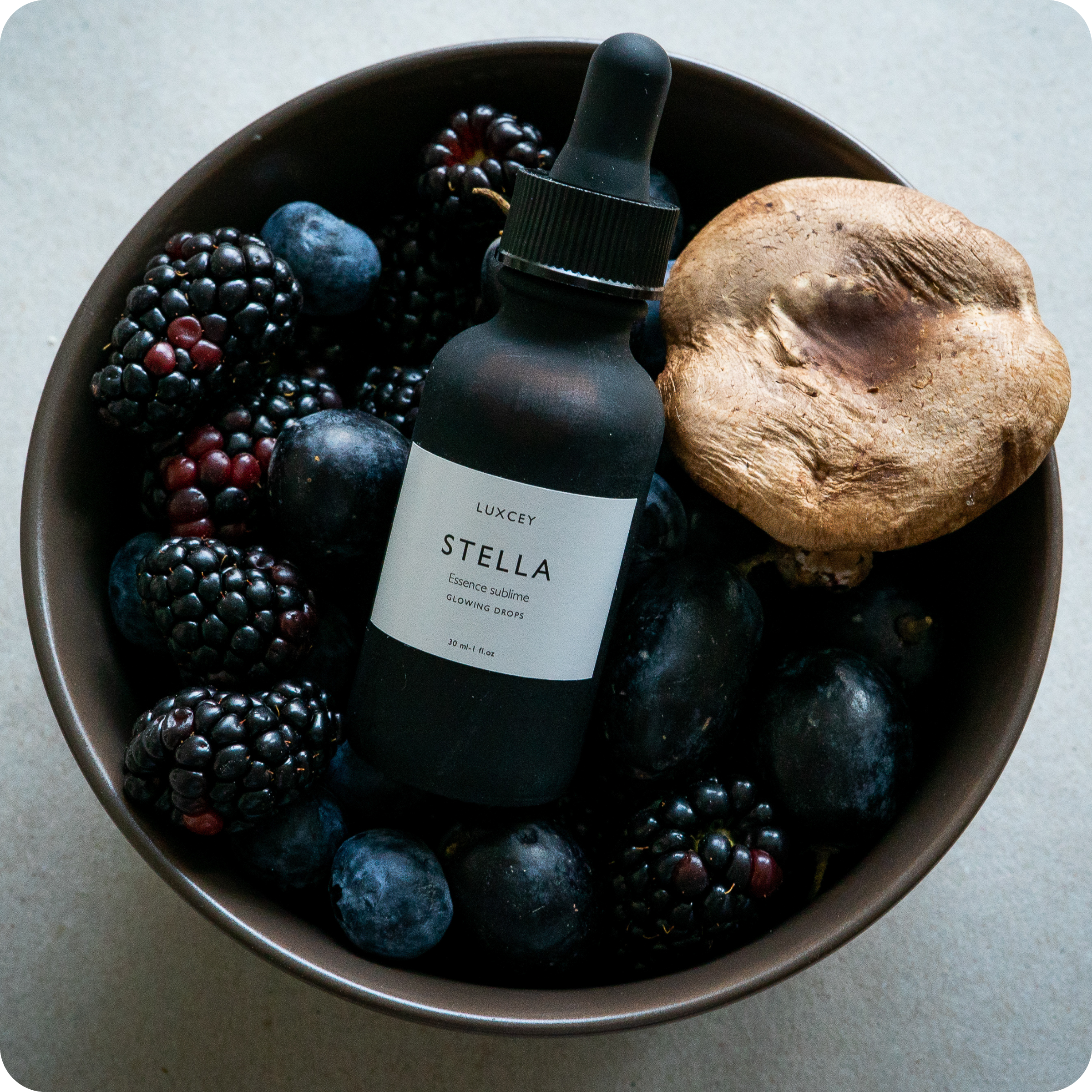 Stella - Sérum antioxydant